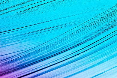 E3 2021：延续爆笑风格 《双点校园》再曝新演示